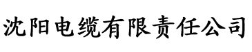 黄污视频在线观看电缆厂logo